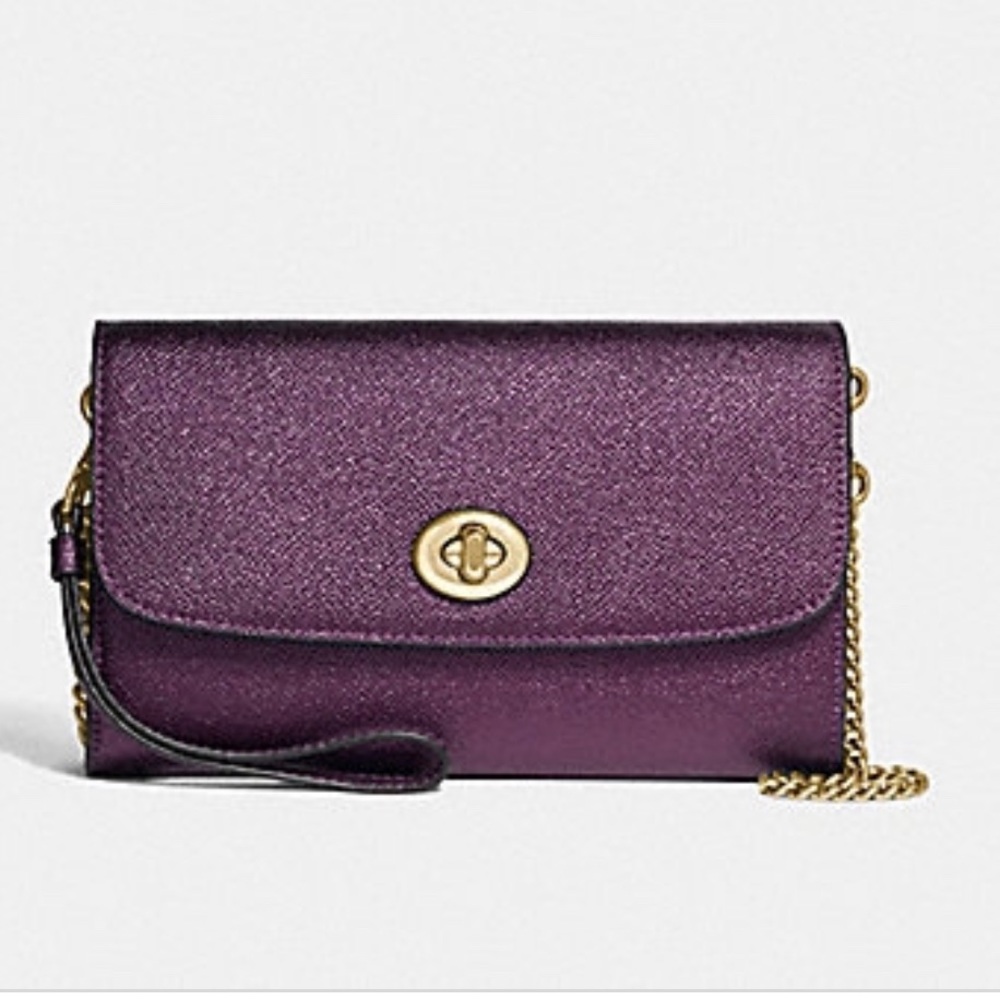 Coach Leather Chain Crossbody